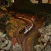bild 013